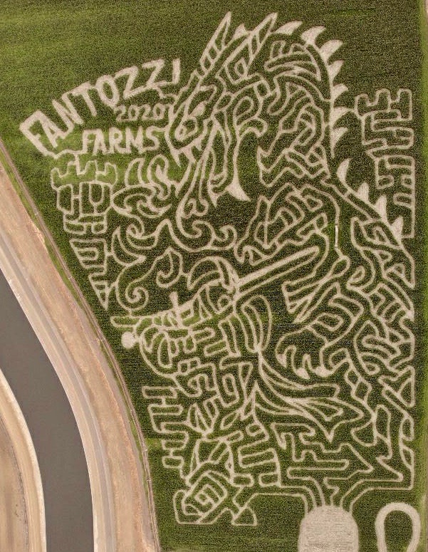 2020 Corn Maze