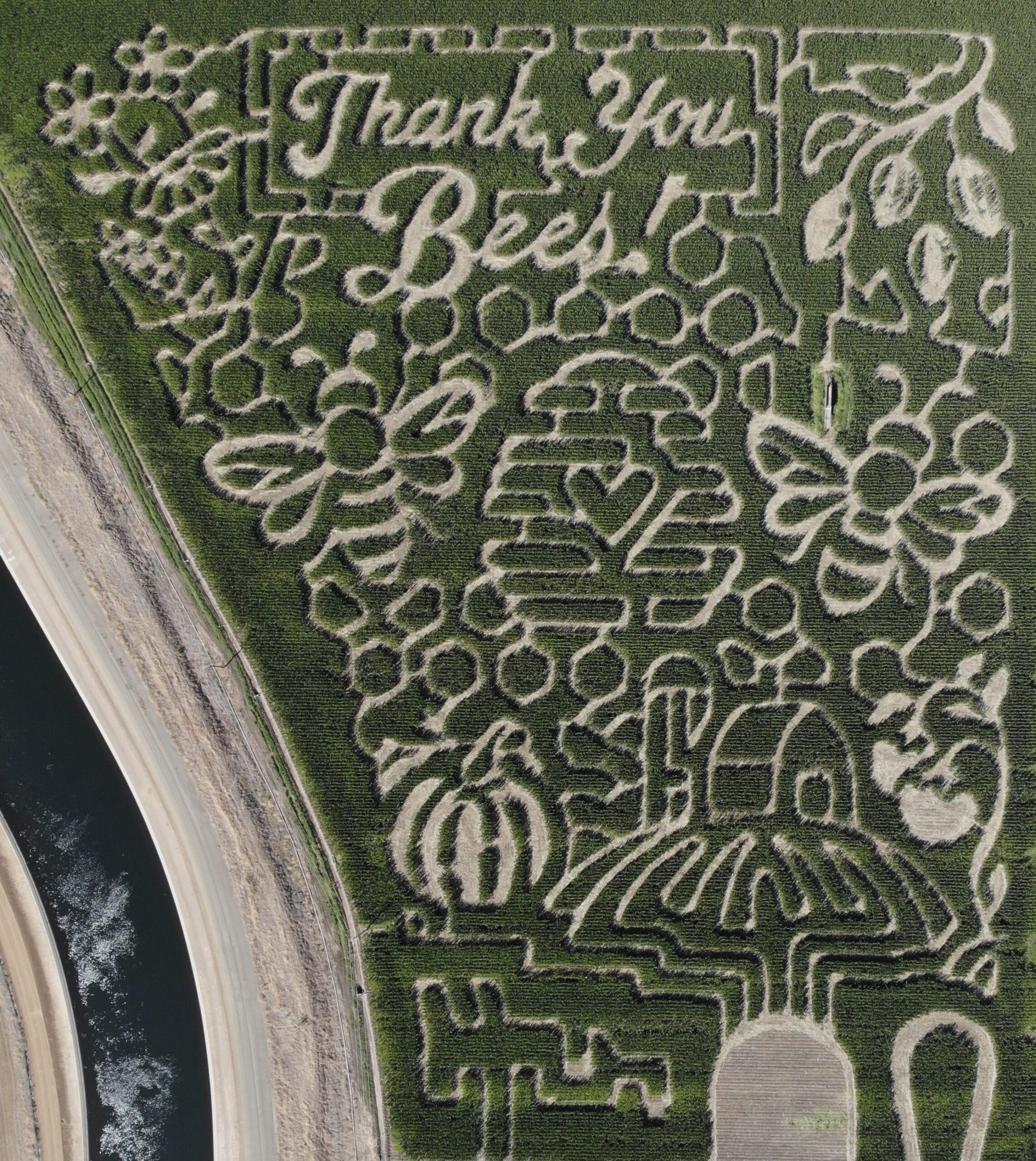 2026 Maze